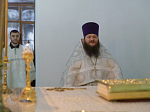 В праздник Крещения Господня Преосвященнейший Дионисий, епископ Россошанский и Острогожский, совершил Литургию в храме иконы Божией Матери «Казанская» города Павловска