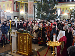 Епископ Россошанский и Острогожский Андрей совершил богослужение в Ильинском кафедральном соборе и принял рождественские поздравления от ансамбля «Терем»