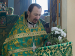 В праздник Святой Троицы Правящий Архиерей совершил Литургию в Свято-Троицком храме г. Россоши