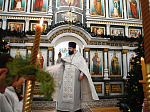 В Казанском храме города Павловска совершена торжественная Рождественская Божественная литургия