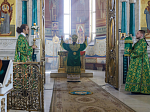 В праздник Входа Господня в Иерусалим глава Россошанской епархии совершил Литургию в Свято-Ильинском кафедральном соборе города Россоши