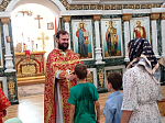 Соборное богослужение в главном храме Павловского благочиния