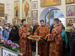 Глава Россошанской епархии совершил Божественную литургию в храме сщмч. Петра, митрополита Крутицкого, на малой родине святого