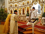 В Свято-Митрофановском храме села Верхний Мамон торжественно встретили праздник Рождества Христова