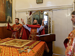 В Россошанском благочинии совершена соборная миссионерская Божественная литургия
