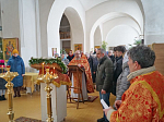  Престольный праздник в Свято-Митрофановском храме с. Верхний Мамон 