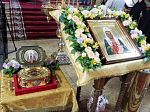Паломники из Богучарского благочиния поклонились мощам свт. Тихона, Патриарха Московского