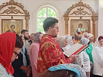 Паломников из Верхнемамонского района посетила храм великомученика Георгия Победоносца в селе Терновое 