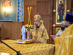 В Воронежской митрополии началось празднование памяти Собора Воронежских святых