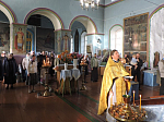 В Спасском храме села Ближняя Полубянка Острогожского района поздравили прихожан с Днем отца
