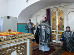 В пятницу 2-й седмицы Великого поста правящий архиерей совершил Литургию Преждеосвященных Даров в Казанском храме с. Гнилое