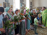 Троица в Богучарском благочинии
