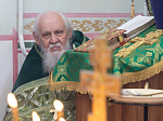 Епископ Россошанский и Острогожский Дионисий совершил Божественную литургию в храме Святого Духа с. Петренково Острогожского района