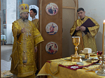 Архипастырь возглавил престольные торжества в храме Преображения Господня села Заброды Калачеевского района