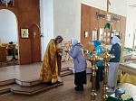 В день памяти апостола Фомы жители села Заброды Калачеевского района соборным богослужением духовенства отметили престольный праздник храма