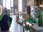 В Россоши завершилось пребывание ковчега с частицей мощей святой блаженной старицы Матроны Московской