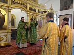В Вербное воскресение в Свято-Тихоновском соборном храме г. Острогожска совершили праздничные богослужения
