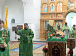 Епископ Дионисий возглавил престольное торжество храма святого благоверного князя Александра Невского с. Петровка