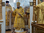 Правящий Архиерей совершил Литургию в Георгиевском храме села Терновое Острогожского района