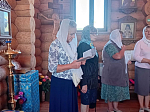 В храме Успения Пресвятой Богородицы села Верхний Мамон помолились о страждущих недугом винопития и наркомании