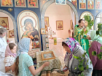 Помощник благочинного по миссионерскому служению провел просветительскую акцию с прихожанами, посвященную празднику Троицы