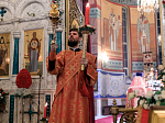 В праздник Светлого Христова Воскресения Правящий Архиерей Россошанской епархии возглавил торжественное богослужение в Ильинском кафедральном соборе