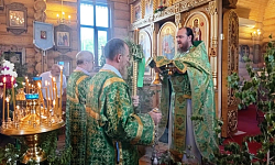 Праздник Святой Троицы в храме Успения Пресвятой Богородицы села Верхний Мамон