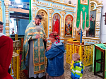 В селах Трехстенки и Верхние Марки встретили Ильинский крестный ход: верующие поклонились иконе Божией Матери «Спорительница хлебов»