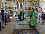 В Россоши завершилось пребывание ковчега с частицей мощей святой блаженной старицы Матроны Московской