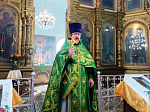 В храме святителя Афанасия Александрийского села Солдатское совершено соборное богослужение духовенства Острогожского церковного округа