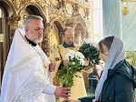 Руководитель епархиального медицинского отдела поздравил православных женщин с днем жен-мироносиц