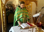 В храмах Павловского благочиния совершались праздничные богослужения в день Святой Троицы.