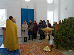 Божественная литургия в Успенском храме с. Зайцевка