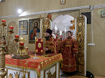 Преосвященнейший епископ Дионисий совершил Божественную литургию в Георгиевском храме села Терновое Острогожского района