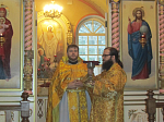 Исповедь духовенства двух благочиний