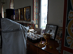 Гуманитарная акция Александра Невского храма
