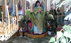Троица в Богучарском благочинии