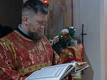 Преосвященнейший Сергий, епископ Борисоглебский и Бутурлиновский совершил Божественную литургию в Костомаровском Спасском женском монастыре