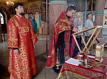 В Ильинском кафедральном соборе состоялось акафистное пение в честь иконы Божией Матери "Неупиваемая Чаша"
