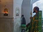 В день памяти преподобного Серафима Саровского Правящий Архиерей возглавил богослужение в Костомаровском Спасском женском монастыре
