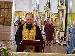 В Петропавловском храме села Репьевка совершена миссионерская литургия