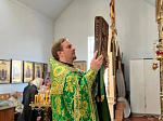 В день Вербного воскресенья в Преображенском храме села Заболотовка состоялось праздничное богослужение