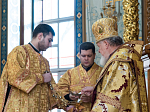 В праздник Собора новомучеников и исповедников Церкви Русской Глава Воронежской митрополии возглавил служение Божественной литургии в Благовещенском кафедральном соборе