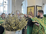 В Казанском храме города Павловска совершили Всенощное бдение в канун Вербного воскресения
