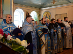 Знаменский крестный ход в Павловском благочинии