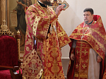 Преосвященнейший епископ Дионисий совершил Литургию в Георгиевском храме с. Терновое