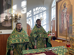 Престольный праздник Александро-Невского храма г. Россошь