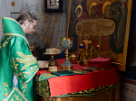 В праздник Входа Господня в Иерусалим епископ Дионисий совершил Божественную литургию в Ильинском кафедральном соборе Россоши