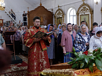 Преосвященнейший епископ Дионисий совершил Божественную литургию в Георгиевском храме села Терновое Острогожского района