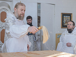Архипастырский визит в Богучарское благочиние